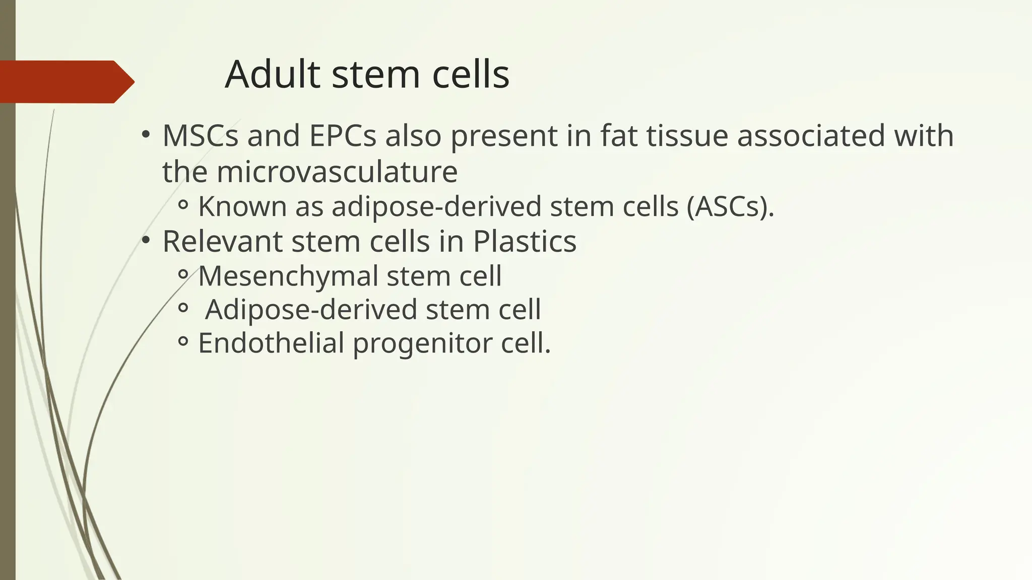 Adult stem cells
• MSCs and EPCs also present in fat tissue associated with
the microvasculature
⚬Known as adipose-derived stem cells (ASCs).
• Relevant stem cells in Plastics
⚬Mesenchymal stem cell
⚬ Adipose-derived stem cell
⚬Endothelial progenitor cell.
 