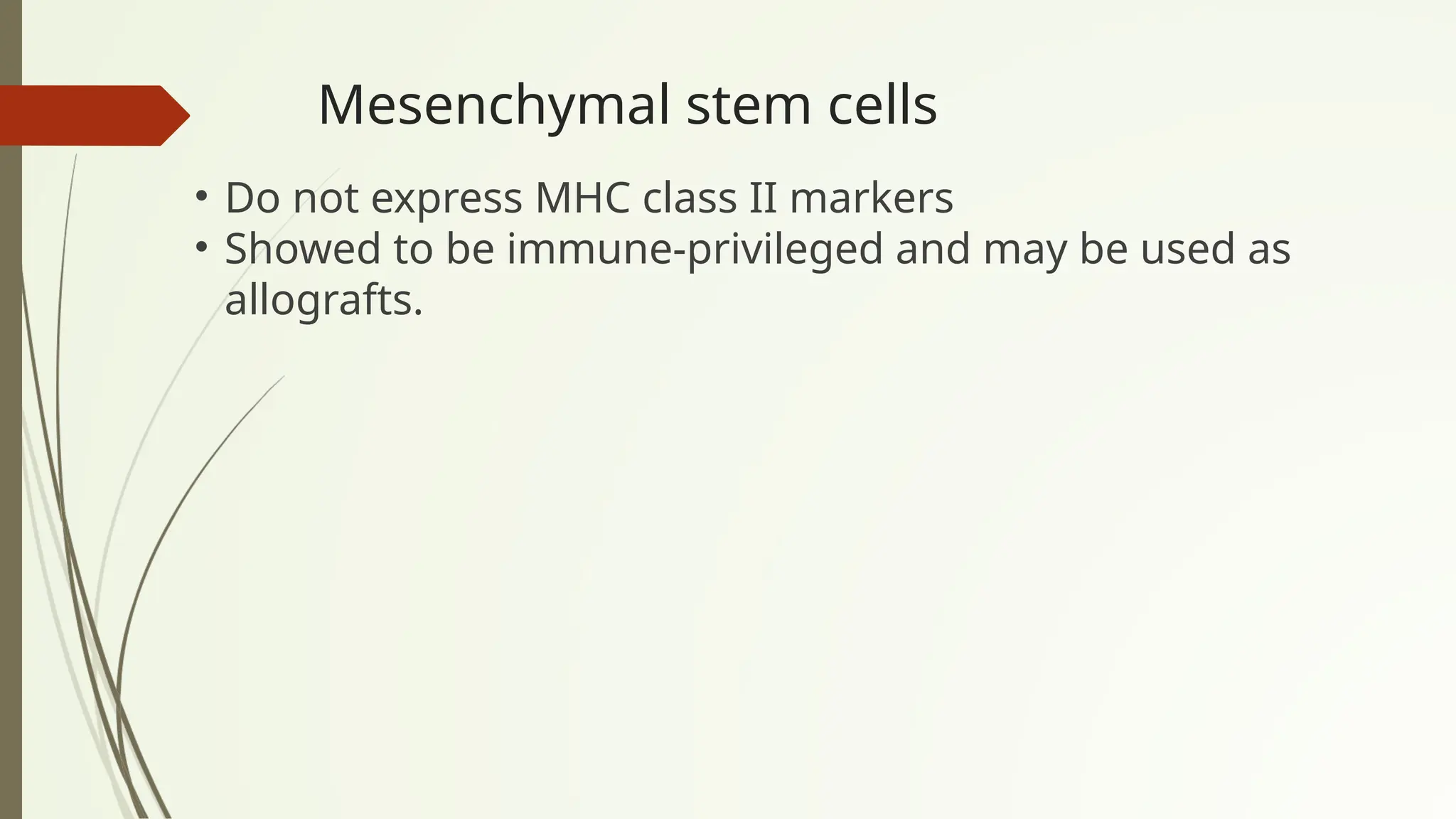 Mesenchymal stem cells
• Do not express MHC class II markers
• Showed to be immune-privileged and may be used as
allografts.
 