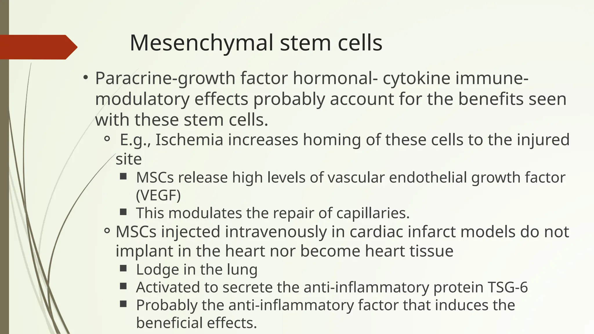 Mesenchymal stem cells
• Paracrine-growth factor hormonal- cytokine immune-
modulatory effects probably account for the benefits seen
with these stem cells.
⚬ E.g., Ischemia increases homing of these cells to the injured
site
￭ MSCs release high levels of vascular endothelial growth factor
(VEGF)
￭ This modulates the repair of capillaries.
⚬MSCs injected intravenously in cardiac infarct models do not
implant in the heart nor become heart tissue
￭ Lodge in the lung
￭ Activated to secrete the anti-inflammatory protein TSG-6
￭ Probably the anti-inflammatory factor that induces the
beneficial effects.
 