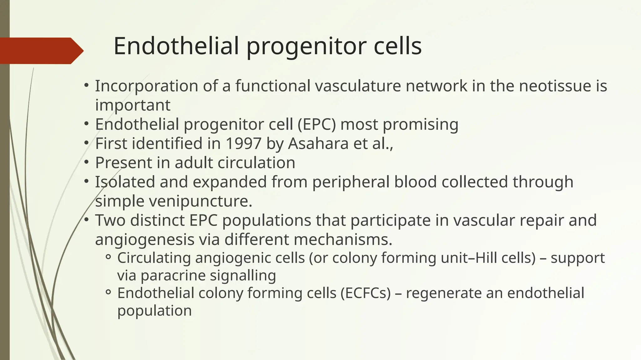 Endothelial progenitor cells
• Incorporation of a functional vasculature network in the neotissue is
important
• Endothelial progenitor cell (EPC) most promising
• First identified in 1997 by Asahara et al.,
• Present in adult circulation
• Isolated and expanded from peripheral blood collected through
simple venipuncture.
• Two distinct EPC populations that participate in vascular repair and
angiogenesis via different mechanisms.
⚬ Circulating angiogenic cells (or colony forming unit–Hill cells) – support
via paracrine signalling
⚬ Endothelial colony forming cells (ECFCs) – regenerate an endothelial
population
 