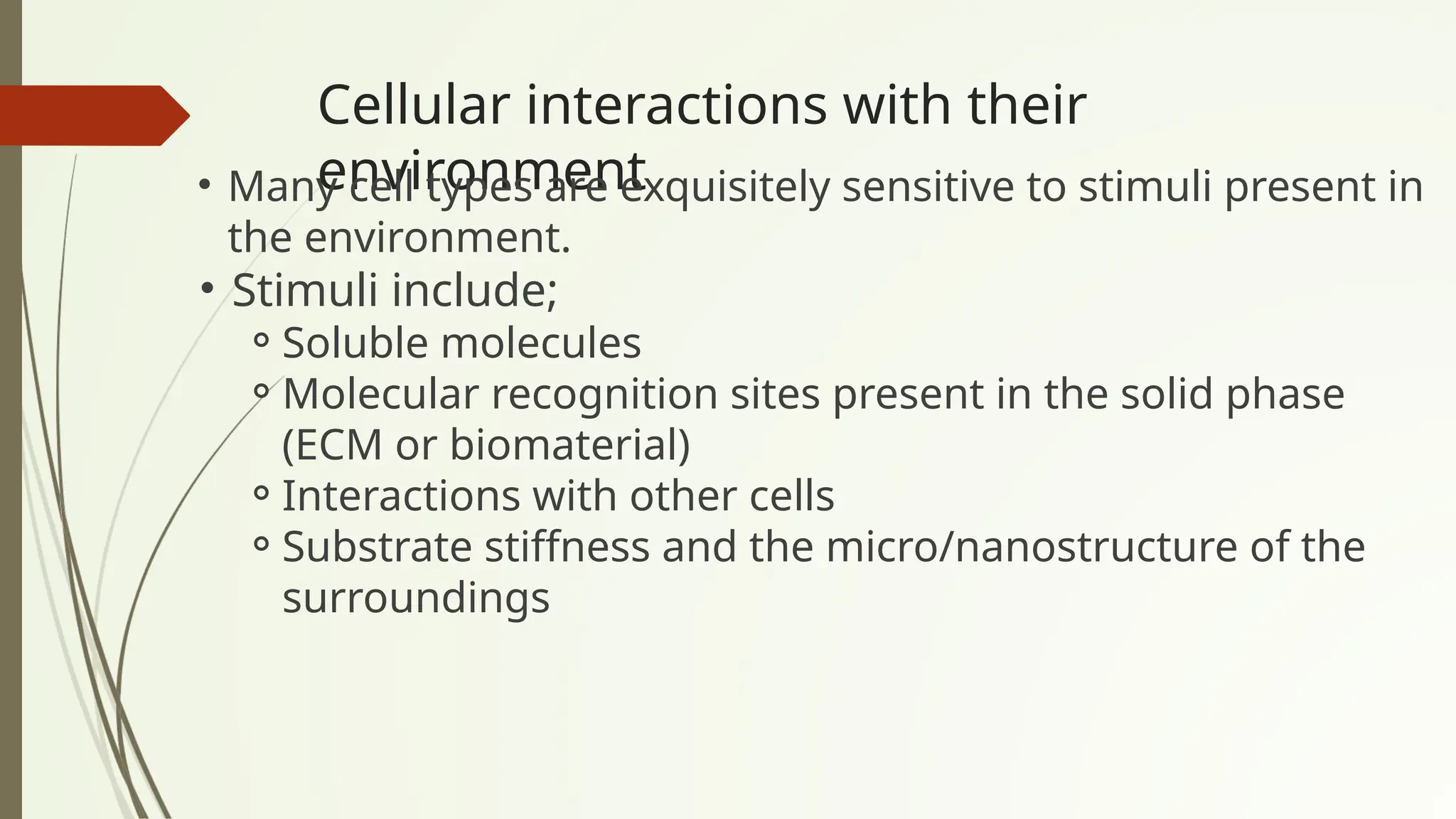 Cellular interactions with their
environment
• Many cell types are exquisitely sensitive to stimuli present in
the environment.
• Stimuli include;
⚬Soluble molecules
⚬Molecular recognition sites present in the solid phase
(ECM or biomaterial)
⚬Interactions with other cells
⚬Substrate stiffness and the micro/nanostructure of the
surroundings
 