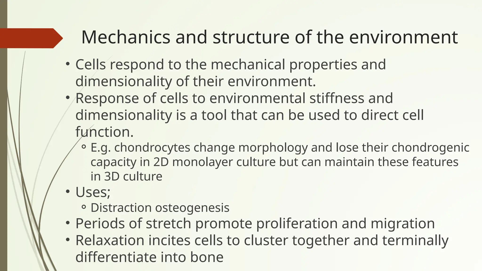 Mechanics and structure of the environment
• Cells respond to the mechanical properties and
dimensionality of their environment.
• Response of cells to environmental stiffness and
dimensionality is a tool that can be used to direct cell
function.
⚬E.g. chondrocytes change morphology and lose their chondrogenic
capacity in 2D monolayer culture but can maintain these features
in 3D culture
• Uses;
⚬Distraction osteogenesis
• Periods of stretch promote proliferation and migration
• Relaxation incites cells to cluster together and terminally
differentiate into bone
 