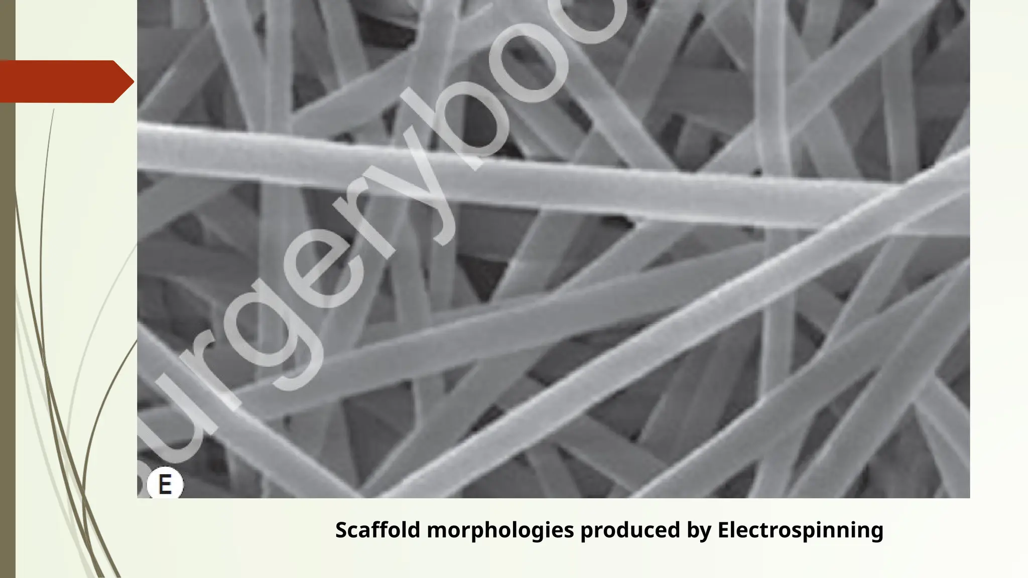 Scaffold morphologies produced by Electrospinning
 
