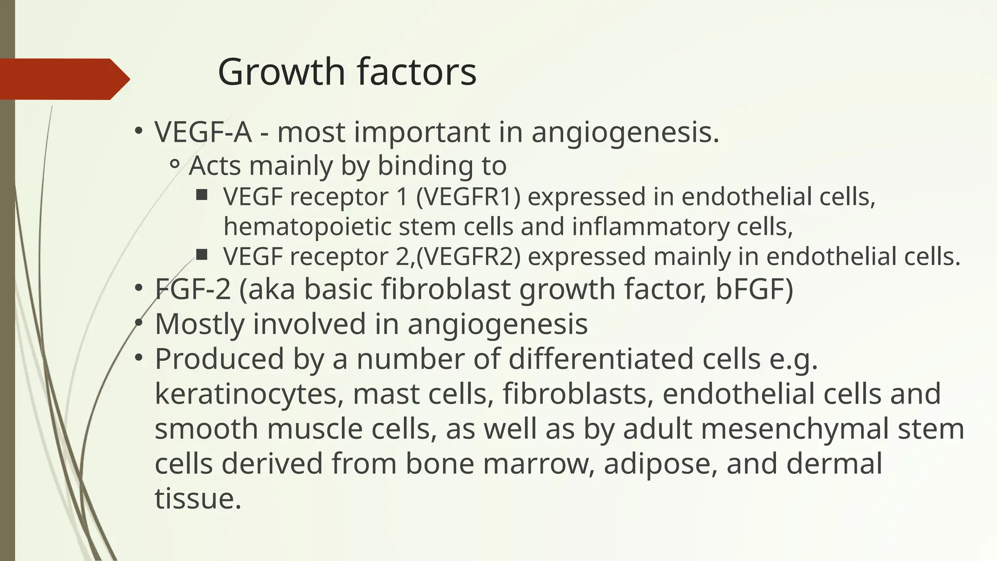 Growth factors
• VEGF-A - most important in angiogenesis.
⚬Acts mainly by binding to
￭ VEGF receptor 1 (VEGFR1) expressed in endothelial cells,
hematopoietic stem cells and inflammatory cells,
￭ VEGF receptor 2,(VEGFR2) expressed mainly in endothelial cells.
• FGF-2 (aka basic fibroblast growth factor, bFGF)
• Mostly involved in angiogenesis
• Produced by a number of differentiated cells e.g.
keratinocytes, mast cells, fibroblasts, endothelial cells and
smooth muscle cells, as well as by adult mesenchymal stem
cells derived from bone marrow, adipose, and dermal
tissue.
 