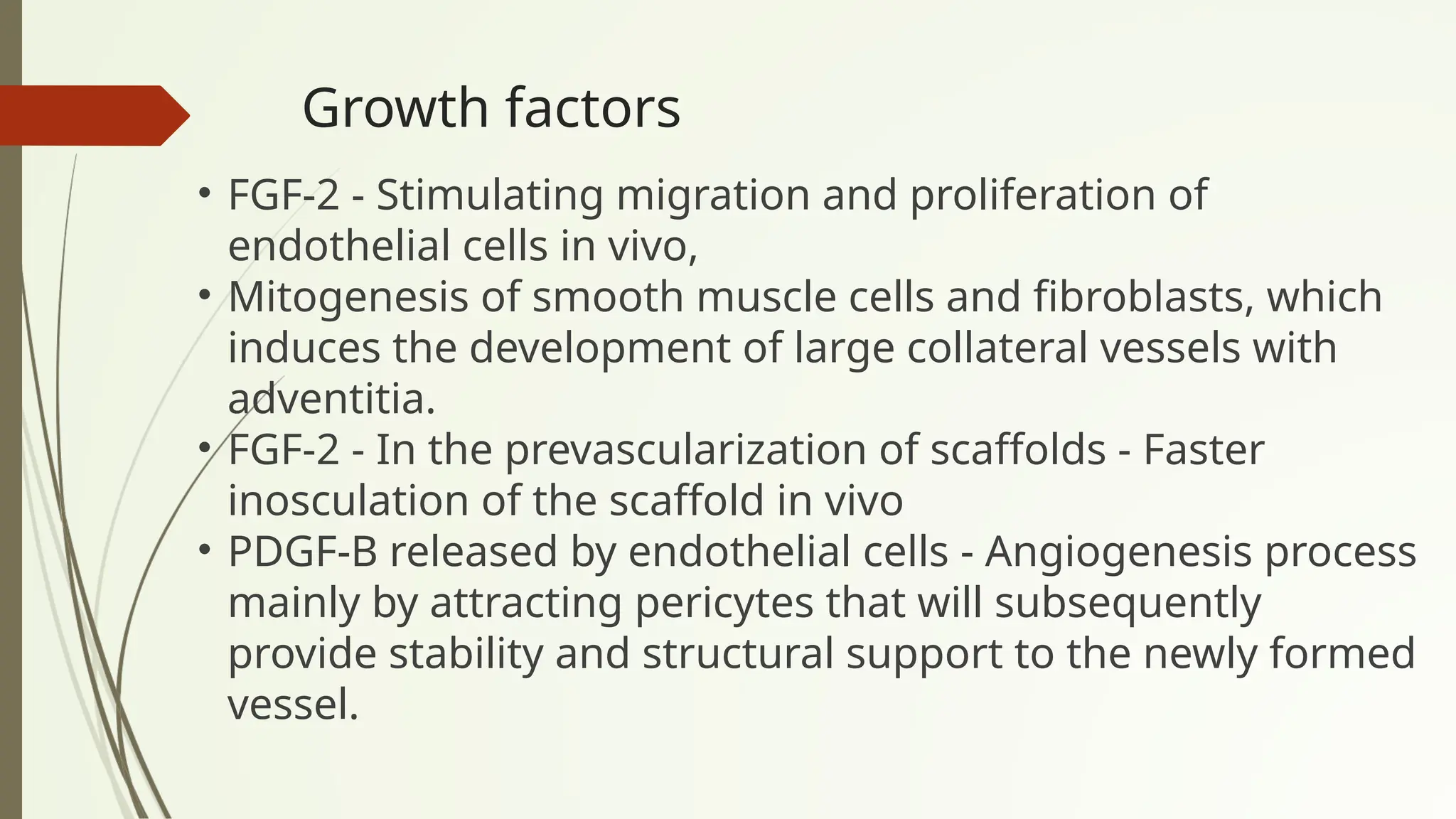 Growth factors
• FGF-2 - Stimulating migration and proliferation of
endothelial cells in vivo,
• Mitogenesis of smooth muscle cells and fibroblasts, which
induces the development of large collateral vessels with
adventitia.
• FGF-2 - In the prevascularization of scaffolds - Faster
inosculation of the scaffold in vivo
• PDGF-B released by endothelial cells - Angiogenesis process
mainly by attracting pericytes that will subsequently
provide stability and structural support to the newly formed
vessel.
 