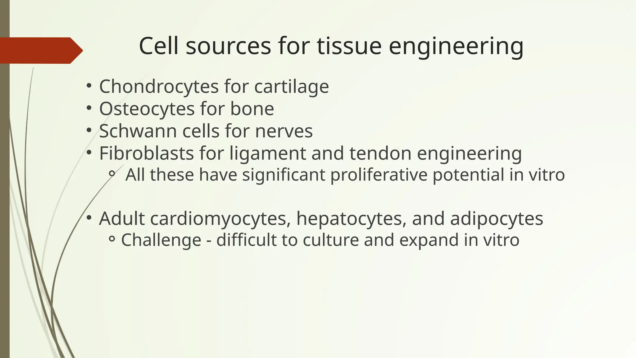Cell sources for tissue engineering
• Chondrocytes for cartilage
• Osteocytes for bone
• Schwann cells for nerves
• Fibroblasts for ligament and tendon engineering
⚬ All these have significant proliferative potential in vitro
• Adult cardiomyocytes, hepatocytes, and adipocytes
⚬Challenge - difficult to culture and expand in vitro
 