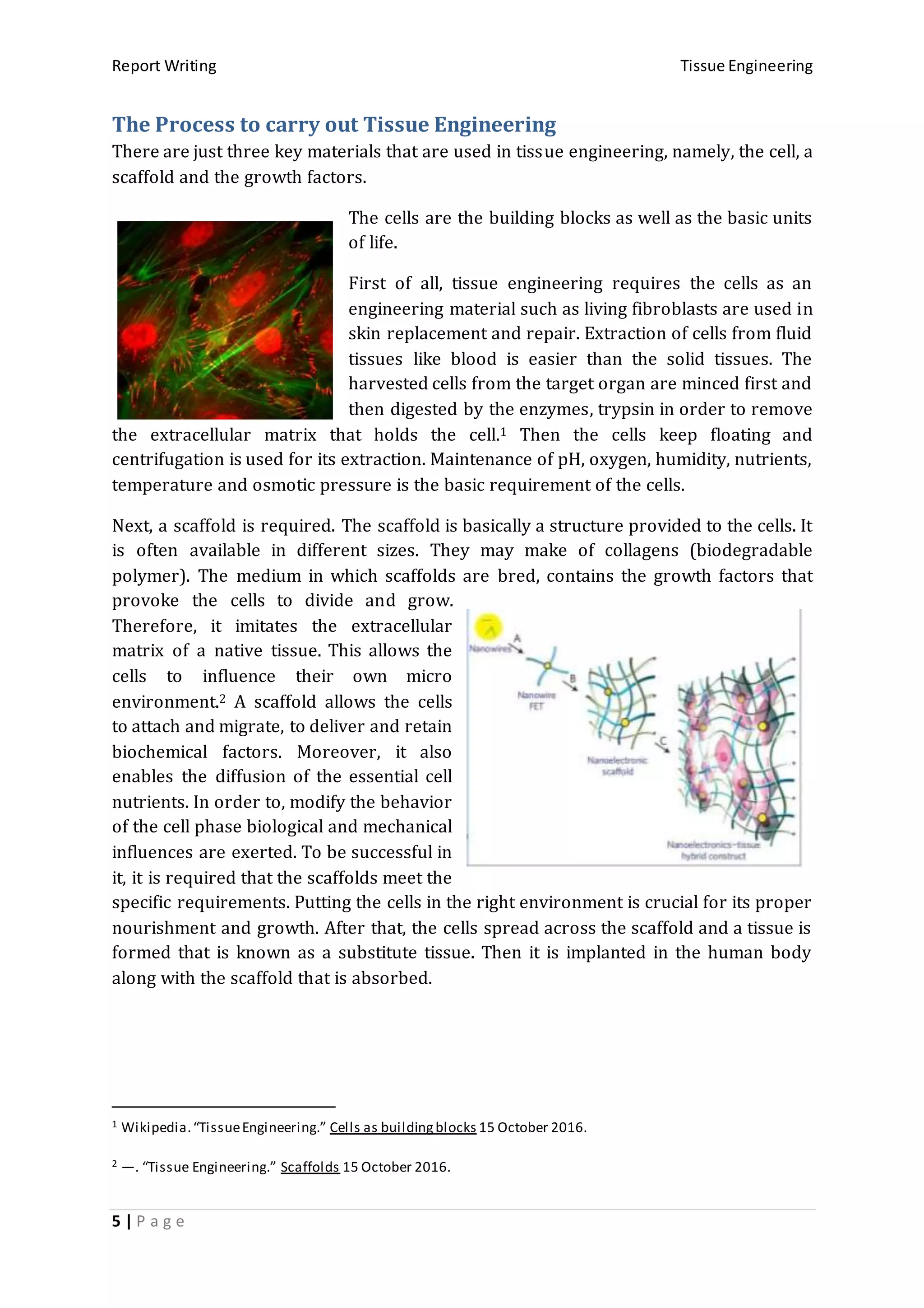 Report Writing Tissue Engineering
5 | P a g e
The Process to carry out Tissue Engineering
There are just three key materials that are used in tissue engineering, namely, the cell, a
scaffold and the growth factors.
The cells are the building blocks as well as the basic units
of life.
First of all, tissue engineering requires the cells as an
engineering material such as living fibroblasts are used in
skin replacement and repair. Extraction of cells from fluid
tissues like blood is easier than the solid tissues. The
harvested cells from the target organ are minced first and
then digested by the enzymes, trypsin in order to remove
the extracellular matrix that holds the cell.1 Then the cells keep floating and
centrifugation is used for its extraction. Maintenance of pH, oxygen, humidity, nutrients,
temperature and osmotic pressure is the basic requirement of the cells.
Next, a scaffold is required. The scaffold is basically a structure provided to the cells. It
is often available in different sizes. They may make of collagens (biodegradable
polymer). The medium in which scaffolds are bred, contains the growth factors that
provoke the cells to divide and grow.
Therefore, it imitates the extracellular
matrix of a native tissue. This allows the
cells to influence their own micro
environment.2 A scaffold allows the cells
to attach and migrate, to deliver and retain
biochemical factors. Moreover, it also
enables the diffusion of the essential cell
nutrients. In order to, modify the behavior
of the cell phase biological and mechanical
influences are exerted. To be successful in
it, it is required that the scaffolds meet the
specific requirements. Putting the cells in the right environment is crucial for its proper
nourishment and growth. After that, the cells spread across the scaffold and a tissue is
formed that is known as a substitute tissue. Then it is implanted in the human body
along with the scaffold that is absorbed.
1 Wikipedia.“TissueEngineering.” Cells as buildingblocks 15 October 2016.
2 —. “Tissue Engineering.” Scaffolds 15 October 2016.
 