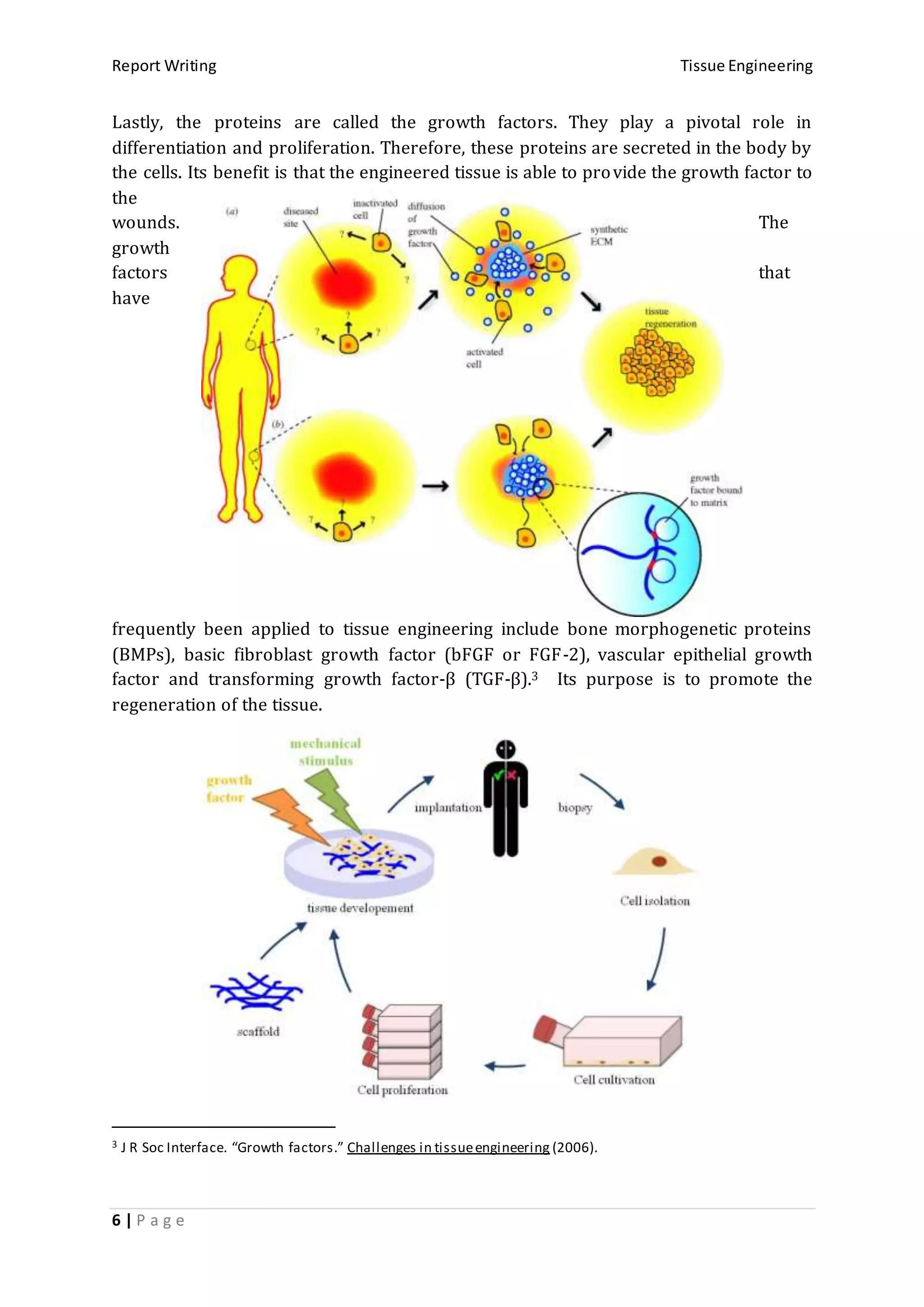 Report Writing Tissue Engineering
6 | P a g e
Lastly, the proteins are called the growth factors. They play a pivotal role in
differentiation and proliferation. Therefore, these proteins are secreted in the body by
the cells. Its benefit is that the engineered tissue is able to provide the growth factor to
the
wounds. The
growth
factors that
have
frequently been applied to tissue engineering include bone morphogenetic proteins
(BMPs), basic fibroblast growth factor (bFGF or FGF-2), vascular epithelial growth
factor and transforming growth factor-β (TGF-β).3 Its purpose is to promote the
regeneration of the tissue.
3 J R Soc Interface. “Growth factors.” Challenges in tissueengineering (2006).
 