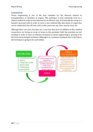 Report Writing Tissue Engineering
10 | P a g e
Conclusion
Tissue engineering is one of the best remedies for the diseases instead of
transplantation or donation of organs. This technique is now commonly used as a
clinical method in order to treat diseases in an effective way. It is basically the using of a
human’s personal cells in order to erect a new artificial fully alive tissue or organ that
can be replaced by the old one, such as skin, pancreas, eye, liver, muscle, bone etc.
Although there are cons, but they are a way less than pros. In addition to this, medical
researchers are facing an array of issues in this particular field, but scientists are yet
working in order to have an effective treatment as tissue engineering is proving to be
the best and prolonged treatment. Although it is a common treatment, but in the future,
this technique is going to be used widely.
 