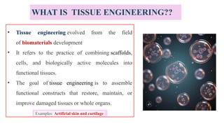 Biomedical scaffolds and application.pptx