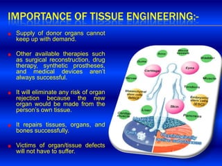 Tissue engineering by Anwesha Banerjee | PPTX