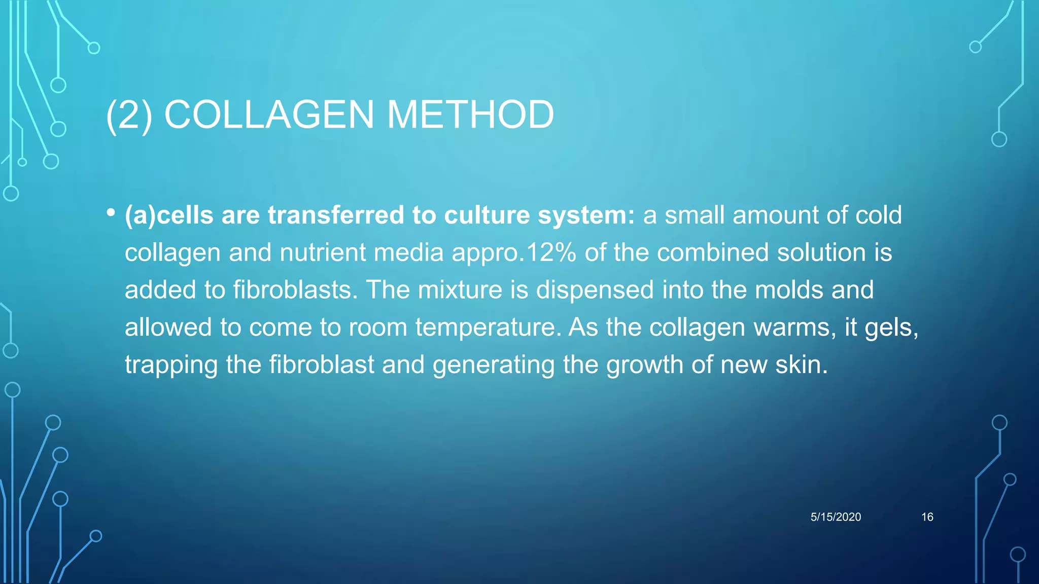 (2) COLLAGEN METHOD
• (a)cells are transferred to culture system: a small amount of cold
collagen and nutrient media appro.12% of the combined solution is
added to fibroblasts. The mixture is dispensed into the molds and
allowed to come to room temperature. As the collagen warms, it gels,
trapping the fibroblast and generating the growth of new skin.
5/15/2020 16
 