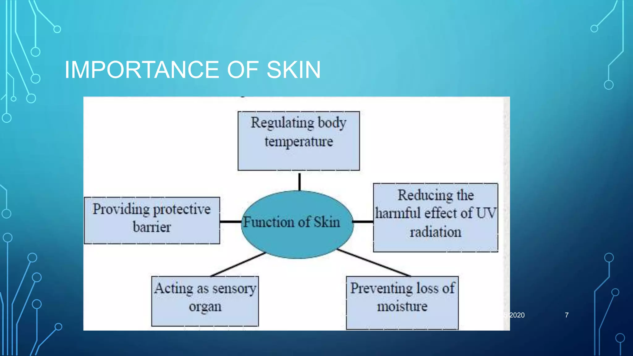 IMPORTANCE OF SKIN
5/15/2020 7
 