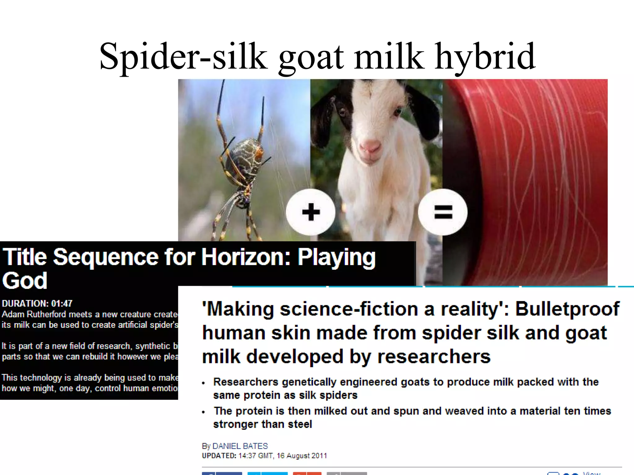 Spider-silk goat milk hybrid
 