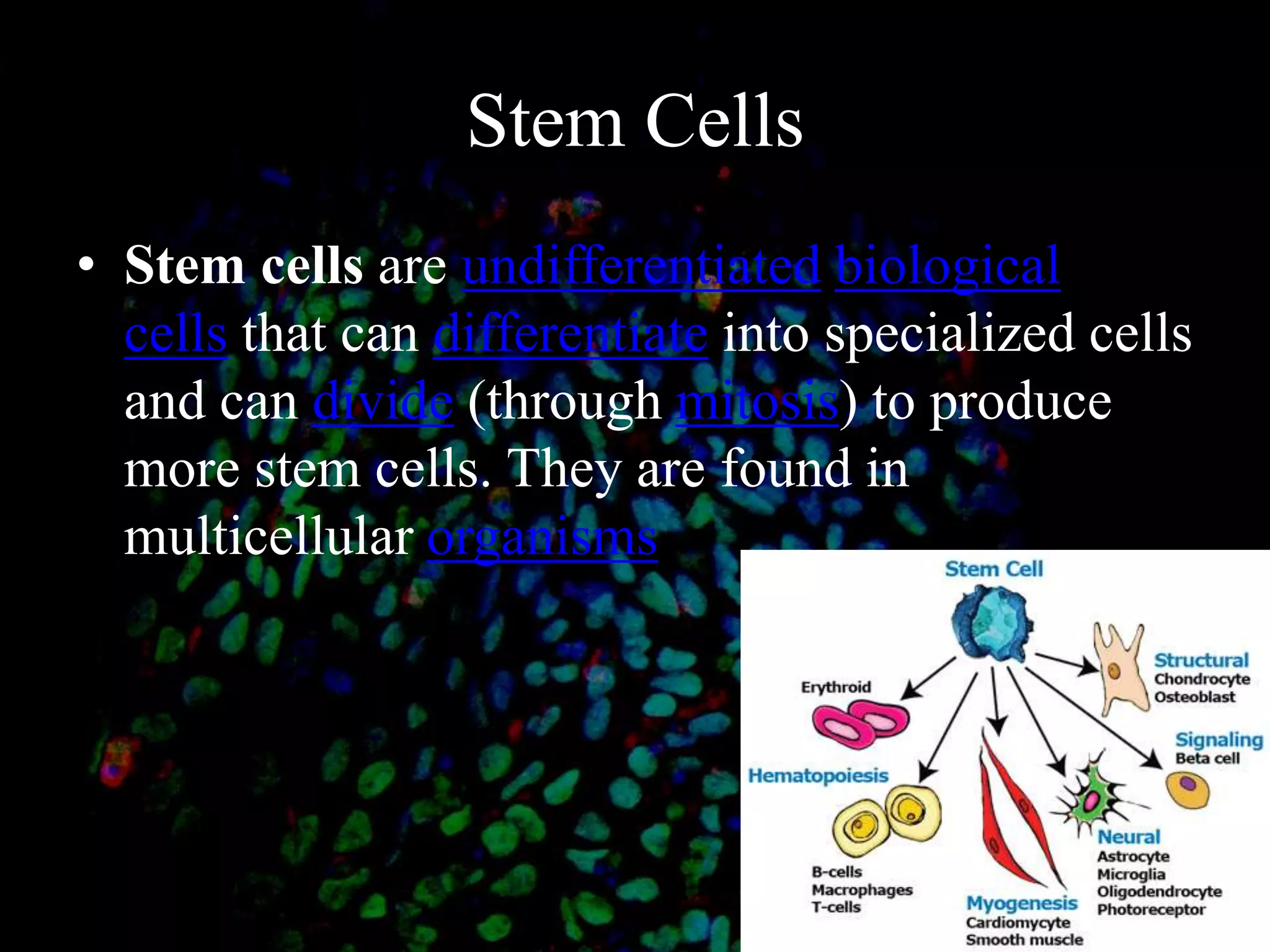 Stem Cells
• Stem cells are undifferentiated biological
cells that can differentiate into specialized cells
and can divide (through mitosis) to produce
more stem cells. They are found in
multicellular organisms
 