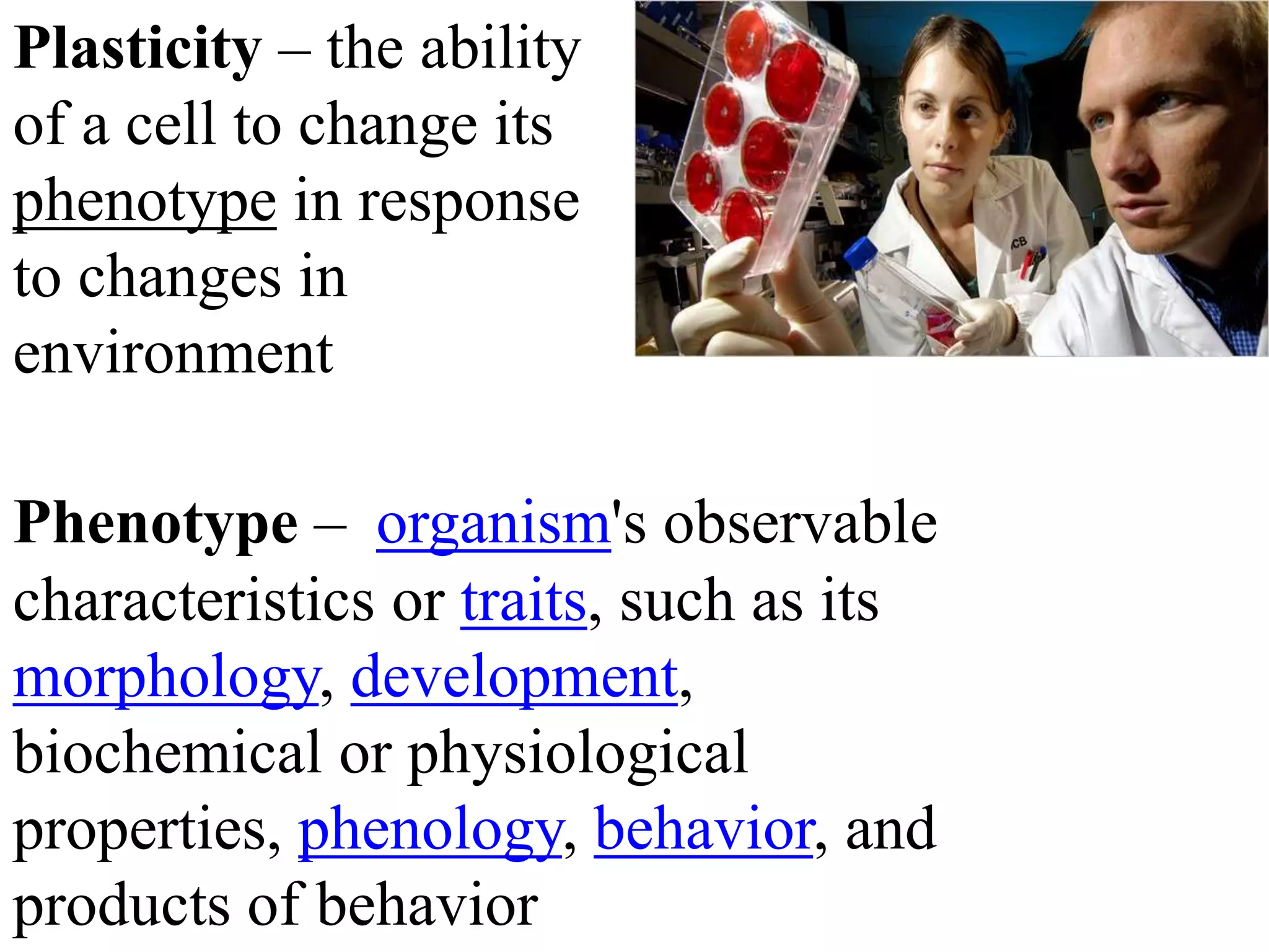 Plasticity – the ability
of a cell to change its
phenotype in response
to changes in
environment
Phenotype – organism's observable
characteristics or traits, such as its
morphology, development,
biochemical or physiological
properties, phenology, behavior, and
products of behavior
 