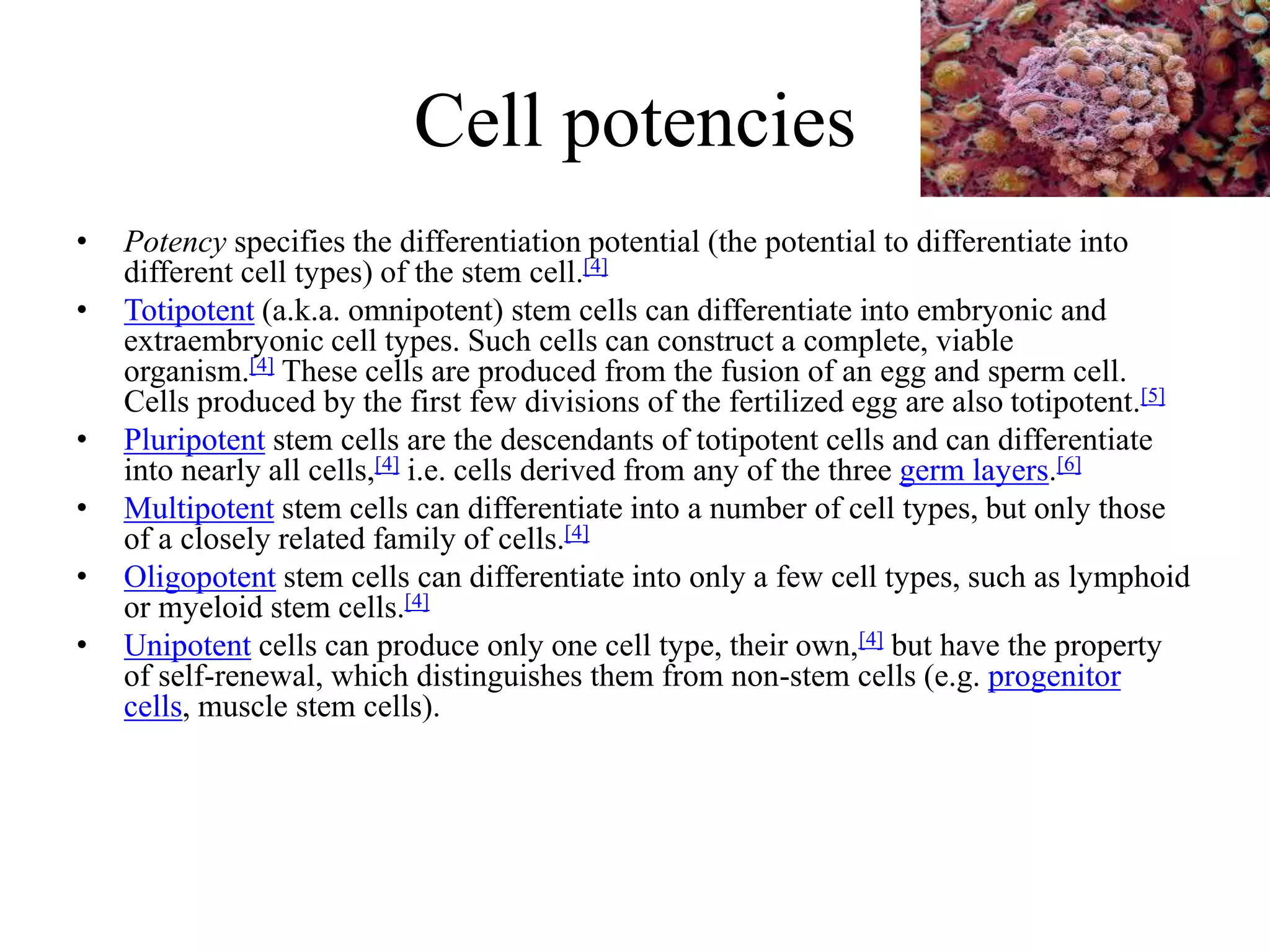 Cell potencies
• Potency specifies the differentiation potential (the potential to differentiate into
different cell types) of the stem cell.[4]
• Totipotent (a.k.a. omnipotent) stem cells can differentiate into embryonic and
extraembryonic cell types. Such cells can construct a complete, viable
organism.[4] These cells are produced from the fusion of an egg and sperm cell.
Cells produced by the first few divisions of the fertilized egg are also totipotent.[5]
• Pluripotent stem cells are the descendants of totipotent cells and can differentiate
into nearly all cells,[4] i.e. cells derived from any of the three germ layers.[6]
• Multipotent stem cells can differentiate into a number of cell types, but only those
of a closely related family of cells.[4]
• Oligopotent stem cells can differentiate into only a few cell types, such as lymphoid
or myeloid stem cells.[4]
• Unipotent cells can produce only one cell type, their own,[4] but have the property
of self-renewal, which distinguishes them from non-stem cells (e.g. progenitor
cells, muscle stem cells).
 
