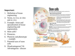 Important:
1. Definition of tissue
engineering.
2. Terms, in vivo, in vitro
and ex vivo
3. Example: Areas and
specialization of tissue
engineering and
regeneration.
4. Stem cells?
5. Potencies.
6. Plasticity and phenotype
– example
7. Potential uses of stem
cells
8. Disadvantageous? Or
Advantageous - discuss
 