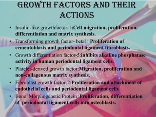 Growth factors and their
actions
• Insulin-like growthfactor-1:Cell migration, proliferation,
differentiation and matrix synthesis.
• Transforming growth factor- beta1: Proliferation of
cementoblasts and periodontal ligament fibroblasts.
• Growth differentiation factor-5:inhibits alkaline phosphatase
activity in human periodontal ligament cells.
• Platelet-derived growth factor:Migration, proliferation and
non-collagenous matrix synthesis.
• Fibroblast growth factor-2:Proliferation and attachment of
endothelial cells and periodontal ligament cells
• Bone Morphogenetic Protein :Proliferation, differentiation
of periodontal ligament cells into osteoblasts.
 