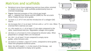 Matrices and scaffolds


Peripheral nerve tissue engineering matrices have either oriented
or random structures, while scaffolds predominantly have an
oriented morphology.



Figure: Selected examples of the critical gap length
gap, LC, adapted from Yannas and Hill (2004) for the rat sciatic
nerve. Empty silicone nerve guides



(a) have a L C of 9.7 mm and the introduction of a collagen–GAG
matrix



(b) increases the L C to at least 14.8 mm with a L of 5.1 mm. When
oriented fibrin matrices are used



(c), this results in a L of at least 4.7 mm when compared to the
same, nonoriented matrices. Degradable collagen nerve guides



(d) have a L of at least 5.4 mm compared to silicone tubes. When
polyamide or collagen fibers are introduced



(e), the L is at least 7.4 mm compared to empty nerve
guides, while Schwann cells



(f) result in a similar L value of 7.4 mm, compared to nerve guides
filled with phosphate-buffered saline.



Note: the shift length ( L ) is the result of the therapy – not
necessarily compared to empty nerve guides .

 