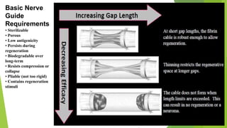 Basic Nerve
Guide
Requirements
• Sterilizable
• Porous
• Low antigenicity
• Persists during
regeneration
• Biodegradable over
long-term
• Resists compression or
collapse
• Pliable (not too rigid)
• Contains regeneration
stimuli

 
