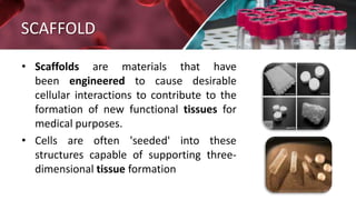 Tissue Scaffloding Tissue engineering - solvent casting particulate leaching and selective ...