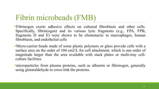 Fibrin microbeads (FMB)
Fibrinogen exerts adhesive effects on cultured fibroblasts and other cells.
Specifically, fibrin(ogen) and its various lytic fragments (e.g., FPA, FPB,
fragments D and E) were shown to be chemotactic to macrophages, human
fibroblasts, and endothelial cells
Micro-carrier beads made of some plastic polymers or glass provide cells with a
surface area on the order of 104 cm2/L for cell attachment, which is one order of
magnitude larger than the area available with stack plates or multi-tray cell-
culture facilities
microparticles from plasma proteins, such as albumin or fibrinogen, generally
using glutaraldehyde to cross-link the proteins.
25
 