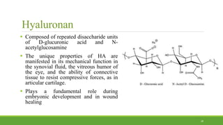 Hyaluronan
 Composed of repeated disaccharide units
of D-glucuronic acid and N-
acetylglucosamine
 The unique properties of HA are
manifested in its mechanical function in
the synovial fluid, the vitreous humor of
the eye, and the ability of connective
tissue to resist compressive forces, as in
articular cartilage.
 Plays a fundamental role during
embryonic development and in wound
healing
28
 