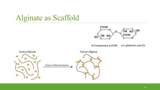 Alginate as Scaffold
35
 