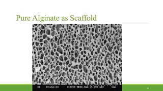 Pure Alginate as Scaffold
36
 