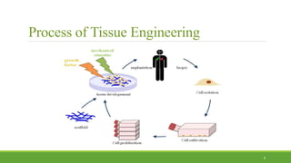Process of Tissue Engineering
8
 