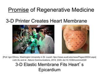 3-D Elastic Membrane Fits Heart’s
Epicardium
3-D Printer Creates Heart Membrane
[Prof. Igor Efimov, Washington University in St. Louish: ttps://news.wustl.edu/news/Pages/26554.aspx]
Lizhi Xu and al., Nature Communications, 2014, 3329, doi:10.1038/ncomms4329
Promise of Regenerative Medicine
 
