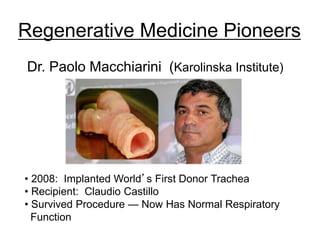 Dr. Paolo Macchiarini (Karolinska Institute)
• 2008: Implanted World’s First Donor Trachea
• Recipient: Claudio Castillo
• Survived Procedure — Now Has Normal Respiratory
Function
Regenerative Medicine Pioneers
 