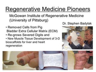 McGowan Institute of Regenerative Medicine
(University of Pittsburg)
Dr. Stephen Badylak
• Removed Cells from Pig
Bladder Extra Cellular Matrix (ECM)
• Re-grows Severed Digits and
• New Muscle Tissue Development of 3-D
bioscaffolds for liver and heart
regeneration
Regenerative Medicine Pioneers
 