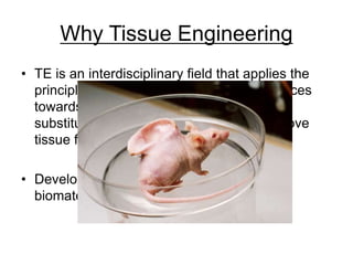 Why Tissue Engineering
• TE is an interdisciplinary field that applies the
principles of engineering and the life sciences
towards the development of biological
substitutes that restore, maintain, or improve
tissue function
• Developing living tissue using cells,
biomaterials, and signaling molecules
 