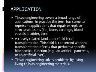 APPLICATION
 Tissue engineering covers a broad range of
applications, in practice the term has come to
represent applications that repair or replace
structural tissues (i.e., bone, cartilage, blood
vessels, bladder, etc).
 A closely related (and older) field is cell
transplantation.This field is concerned with the
transplantation of cells that perform a specific
biochemical function (e.g., an artificial pancreas,
or an artificial liver).
 Tissue engineering solves problems by using
living cells as engineering materials.
 