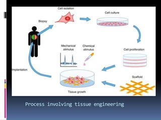 Process involving tissue engineering
 