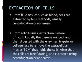 EXTRACTION OF CELLS
 From fluid tissues such as blood, cells are
extracted by bulk methods, usually
centrifugation or apheresis.
 From solid tissues, extraction is more
difficult. Usually the tissue is minced, and
then digested with the enzymes trypsin or
collagenase to remove the extracellular
matrix (ECM) that holds the cells. After that,
the cells are free floating, and extracted using
centrifugation or apheresis.
 