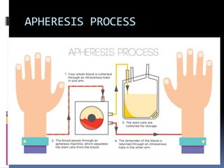 APHERESIS PROCESS
 