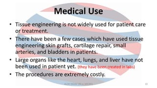 Medical Use
• Tissue engineering is not widely used for patient care
or treatment.
• There have been a few cases which have used tissue
engineering skin grafts, cartilage repair, small
arteries, and bladders in patients.
• Large organs like the heart, lungs, and liver have not
been used in patient yet. (they have been created in labs)
• The procedures are extremely costly.
ALOK YADAV (M.sc MICRO) 10
 