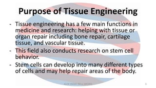 Purpose of Tissue Engineering
- Tissue engineering has a few main functions in
medicine and research: helping with tissue or
organ repair including bone repair, cartilage
tissue, and vascular tissue.
- This field also conducts research on stem cell
behavior.
- Stem cells can develop into many different types
of cells and may help repair areas of the body.
ALOK YADAV (M.sc MICRO) 6
 