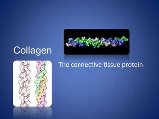 Collagen
The connective tissue protein
 