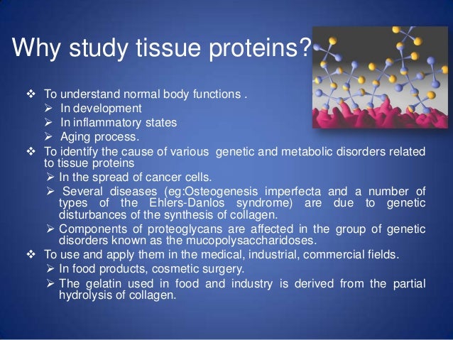 Collagen! - The connective Tissue Protein