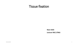 Tissue fixation
Noor Ullah
Lecturer MLT, STMU
10/10/2018 1
 