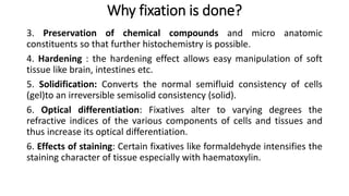 Tissue Fixation Histopathology | PPTX
