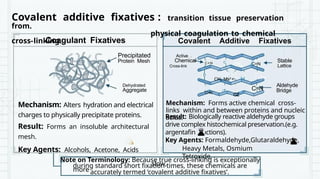 Comprehensive Overview of Tissue Fixation in Histopathology: Principles ...
