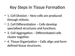 Tissue Formatipo Tissue_Formation_Presentation and d.pptx