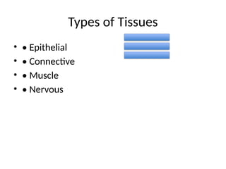 Tissue Formatipo Tissue_Formation_with_Diagrams and .pptx