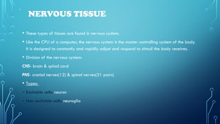 TISSUES - Types of tissues, structure and functions | PPTX