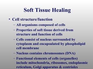Soft Tissue Healing
• Cell structure/function
  – All organisms composed of cells
  – Properties of soft tissue derived from
    structure and function of cells
  – Cells consist of nucleus surrounded by
    cytoplasm and encapsulated by phospholipid
    cell membrane
  – Nucleus contains chromosomes (DNA)
  – Functional elements of cells (organelles)
    include mitochondria, ribosomes, endoplasmic
    reticulum, Golgi apparatus & centrioles
 